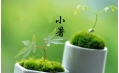 【生活預(yù)報(bào)】東方和利說天氣，今日小暑
