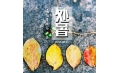 明日處暑，你舍得和夏天說再見嗎？