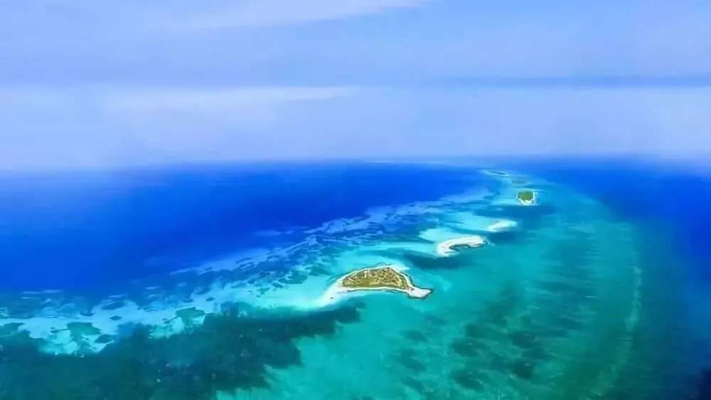 “海南自由港”震撼登場(chǎng)！40個(gè)亮點(diǎn)東方和利帶你一文看懂